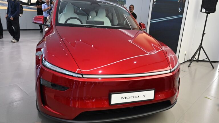 tesla-model-y-india
